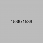 Efficitur tincidunt ornare