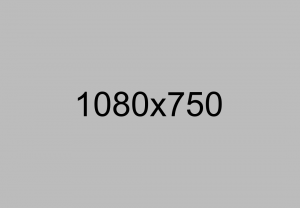 Luctus non massa fusce ac turpis quis